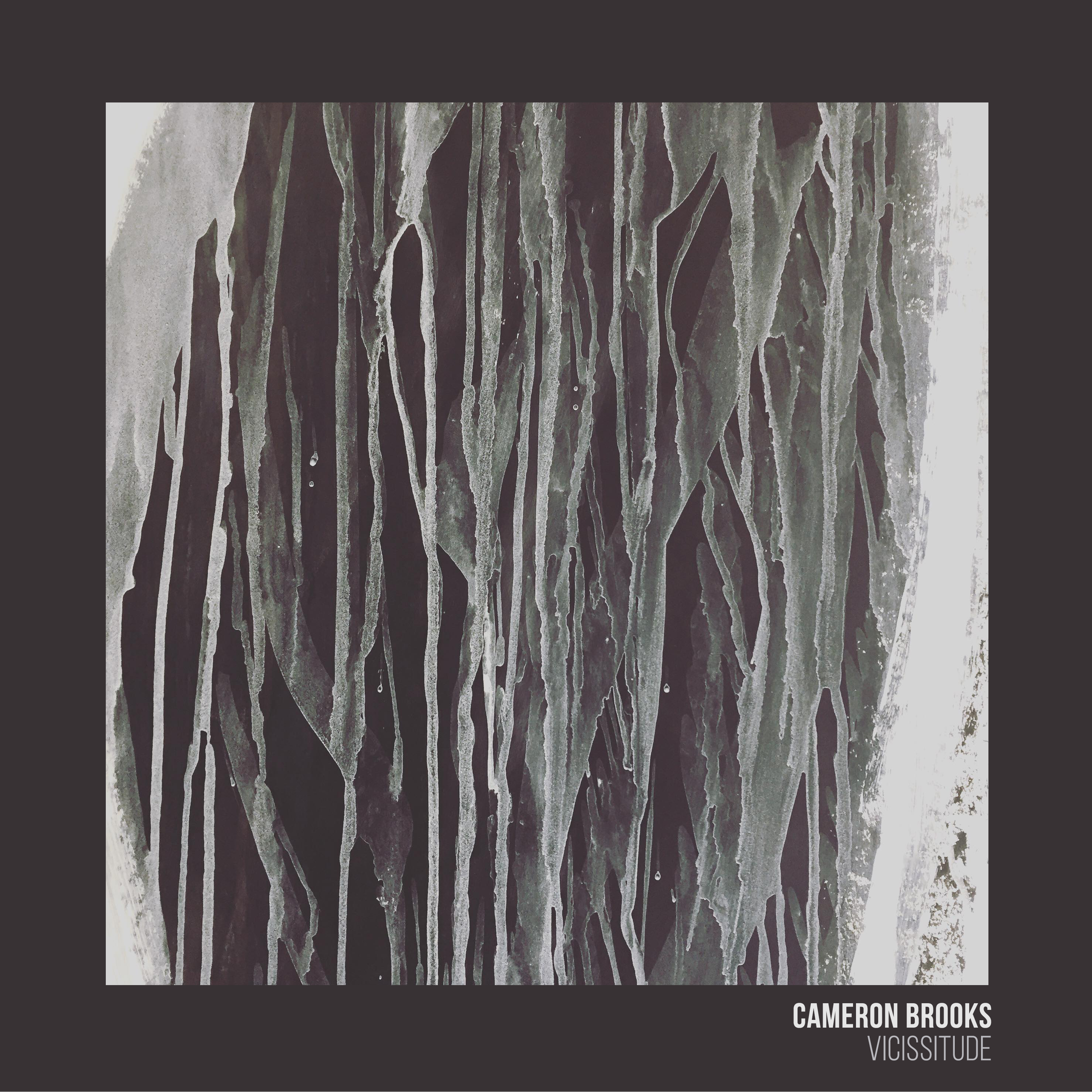Cameron Brooks - Vicissitude